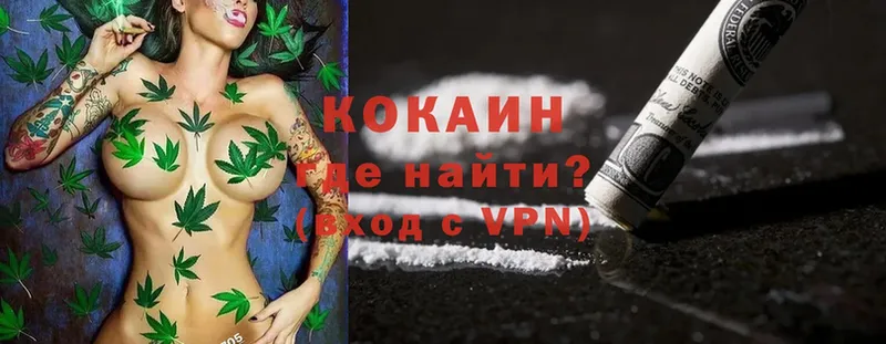 где можно купить   Избербаш  COCAIN Fish Scale 