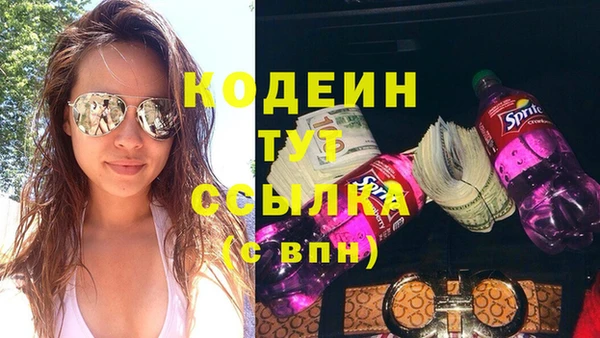 сатива Новодвинск