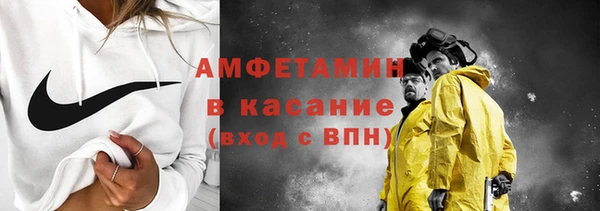 сатива Новодвинск