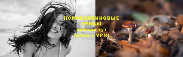 скорость mdpv Новозыбков