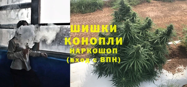 герыч Заречный