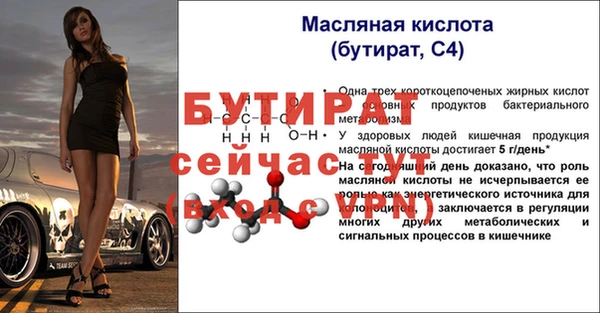 сатива Новодвинск