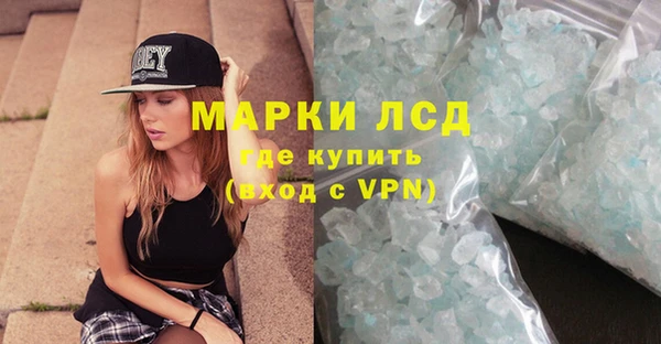 сатива Новодвинск