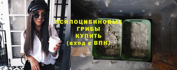 герыч Заречный