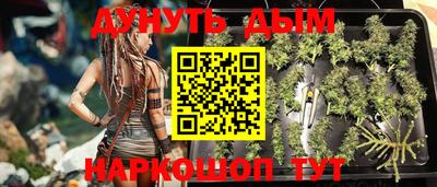 сатива Абинск