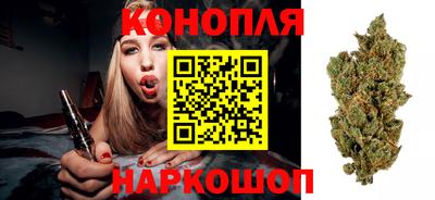 сатива Абинск