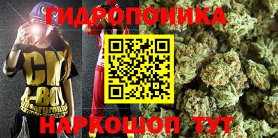 сатива Абинск