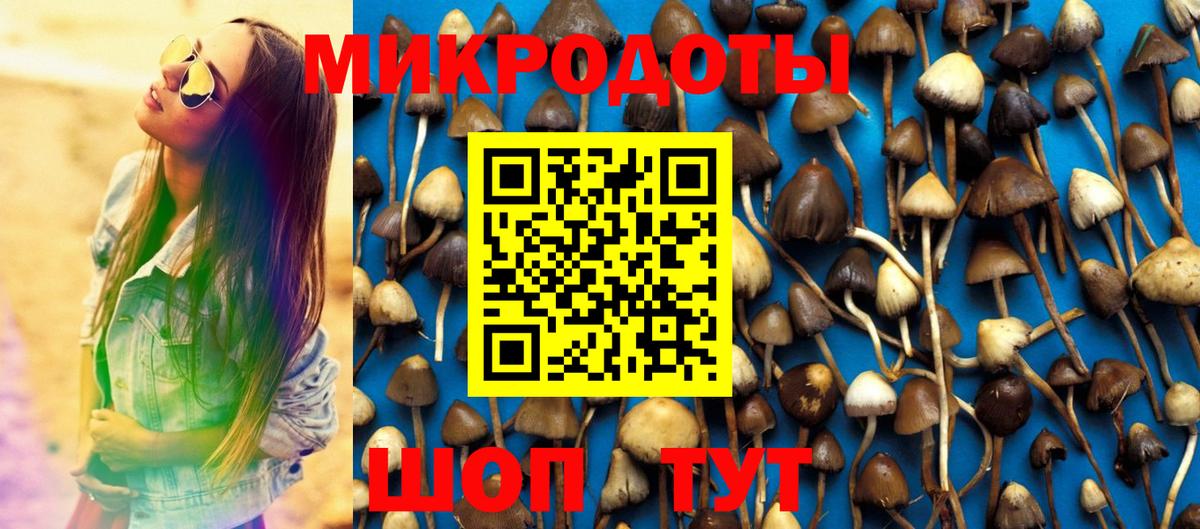 Галлюциногенные грибы ЛСД  купить   Псилоцибиновые грибы мицелий  Избербаш 