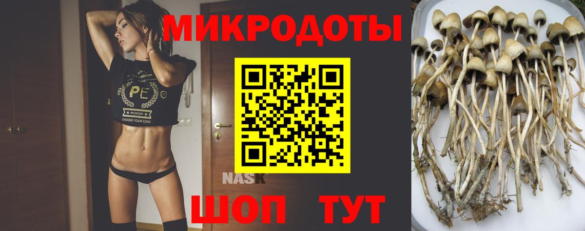 Псилоцибиновые грибы Magic Shrooms  Вход с VPN  купить  сайты  Избербаш 